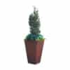 corten steel plant pots Wide at the top and narrow at the bottom