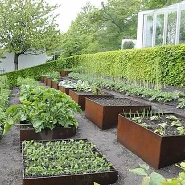 vegetable field corten steel edging for landscaping