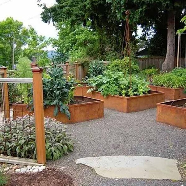 vegetable field corten steel edging for landscaping