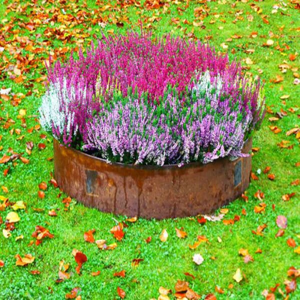 custom Corten steel stainless steel tree ring